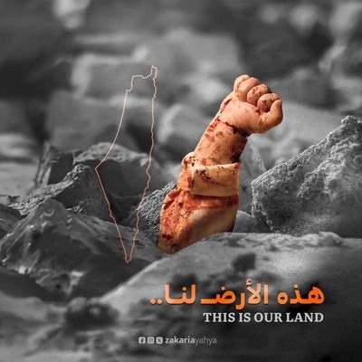 BdalhmydA67436's profile picture