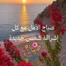 نورة الصويري's profile picture