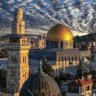 tota ahmed faid's profile picture