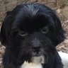 Profilbild von Charly Or