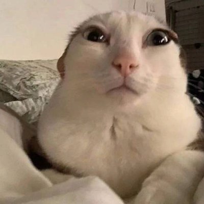 izei1337's profile picture
