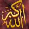 Tamer Alaa's profile picture