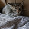 zuka profil fotoğrafı