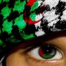 Ali Moussa 🇩🇿🇵🇸's profile picture