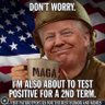 PatriotTrumperApeCarol 的头像