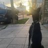 Фото профиля CAPITANO