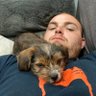 Devon Parent's profile picture