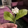Фото профиля (( خالد الفايز ))