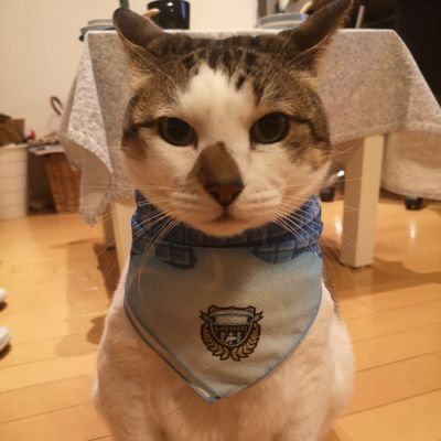 たくわん's profile picture