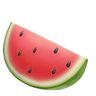 pemuda setempat 🍉 profil fotoğrafı