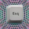 [ ΞSQAPΞ ]'s profile picture