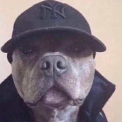 MeRcA_237's profile picture