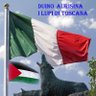Profilbild von Publio - Palestina 💖💖💖💖💖💖💖