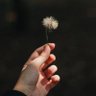 🌬dlioNRowie 🌻 profil fotoğrafı