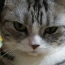 ちなつ🍥🍎's profile picture