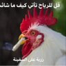 Фото профиля Alaa