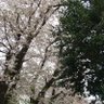 Фото профиля かいん