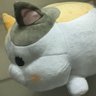 Profilbild von Art (アート)