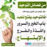 مصطفى أبو نافِع's profile picture
