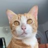 HAPPY's profile picture