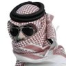 نايف الزهراني's profile picture