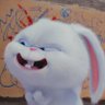 Bunny_sh🐰's profile picture