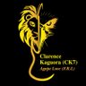 Фото профиля Clarence Kaguora (CK7)