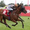 Profilbild von Mutty loses money