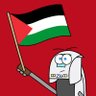 ProvingBeatle16 🇵🇸 profil fotoğrafı