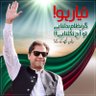 Tauseef Ahmad's profile picture