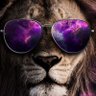 ابوالمنذر's profile picture