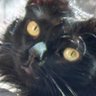 Profilbild von Jame