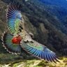 رحال عبر الزمن profil fotoğrafı