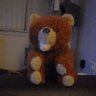 Фото профиля Union Bear 33🇬🇧🏴󠁧󠁢󠁳󠁣󠁴󠁿🇬🇧🇮🇪🇬🇧😺😁👍