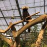 Фото профиля まっしー