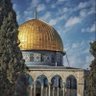 💎🇵🇸👑's profile picture