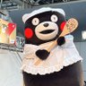 とらはな［色んなキャラさんと絡むモン］ 的头像