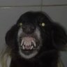 Noit.'s profile picture
