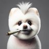Фото профиля Hedgie
