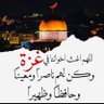 محمود الحسيني's profile picture