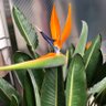 Фото профиля ちる