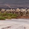 الدوسري 的头像