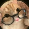 ✧jacey🇱🇧's profile picture