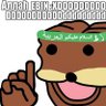 Profilbild von Allah Ebin
