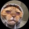 Profilbild von KryptyJinK