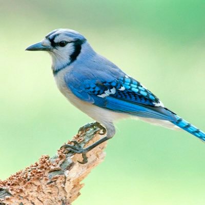 Meilan97222531's profile picture