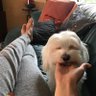 Evelyn Carlson profil fotoğrafı