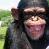 Profilbild von @AritaFeliz
