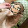 takuchibo.chata's profile picture