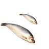 Yon Kippers profil fotoğrafı
